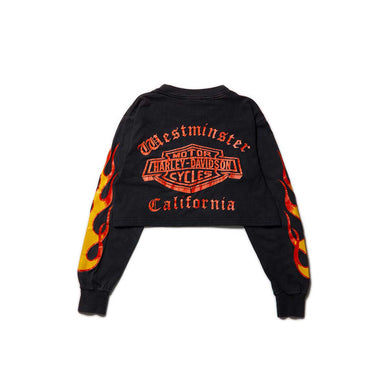 Reworked Harley Style Flame Cropped Top